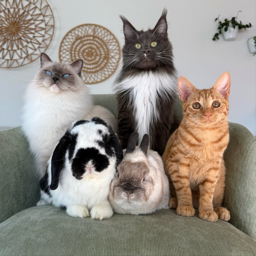 Denzel, Leo, Sully, Tink, And Lexi 🤍