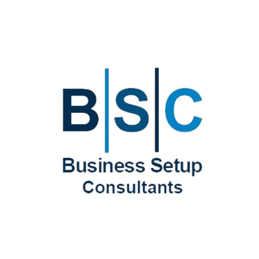 Business Setup Consultants