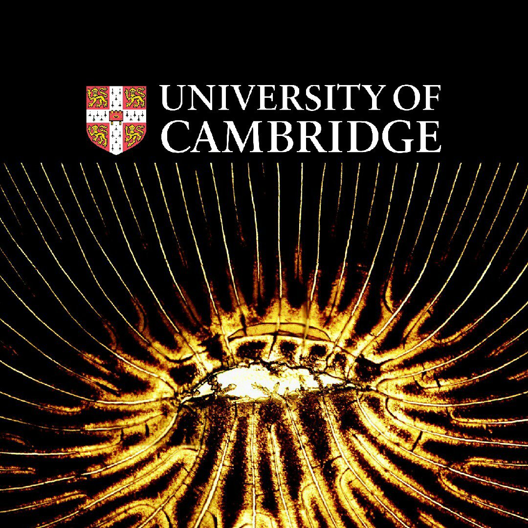 Department Of Engineering