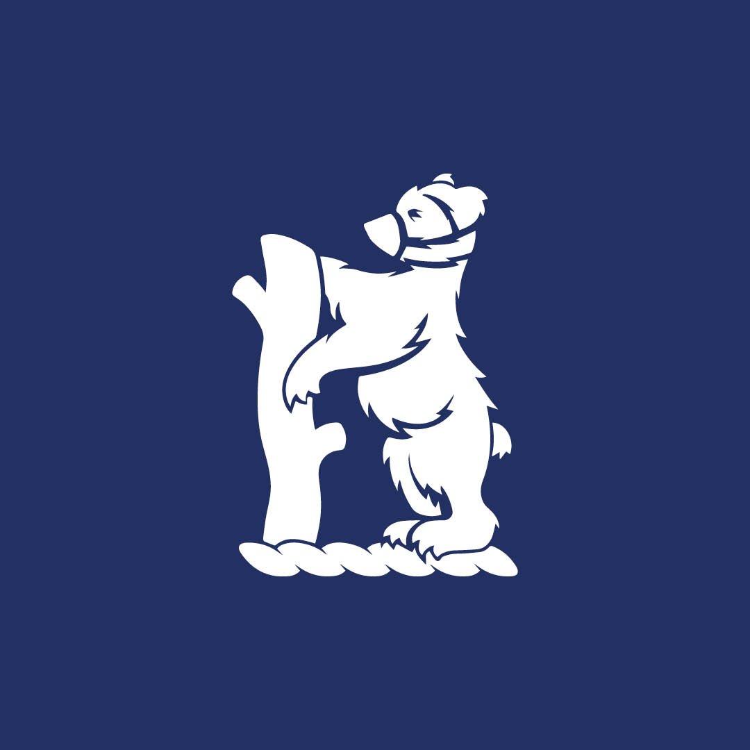 Bears
