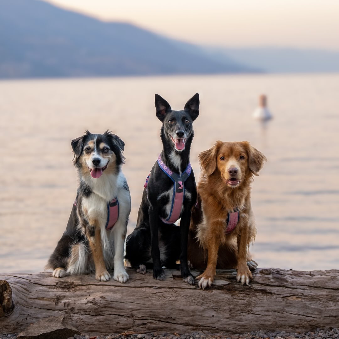 Tia & Juniper • Tadpole • Flyte