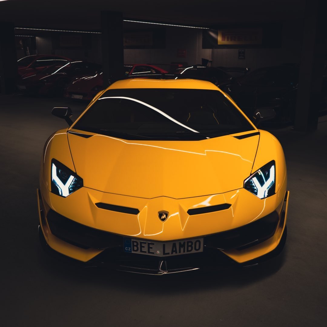 Bee Svj