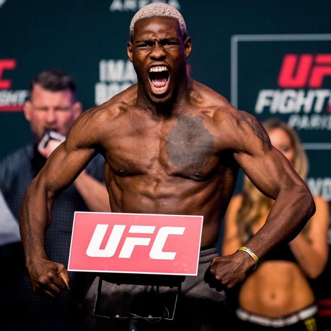 The Zulu Warrior 🇳🇬 🇿🇼 🇧🇪