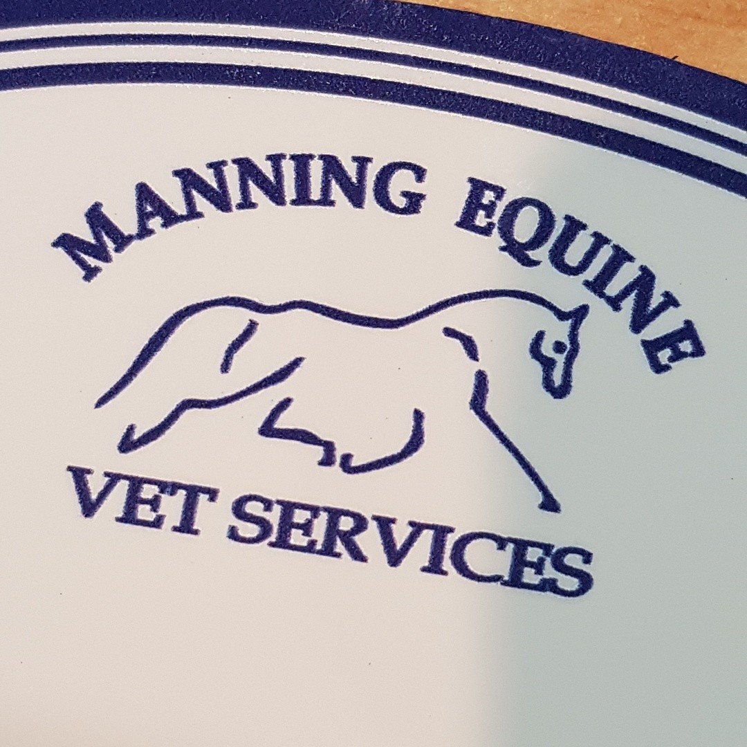 Manning Equine Vet Services