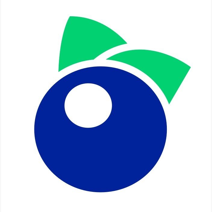 Blueberry Travel Company