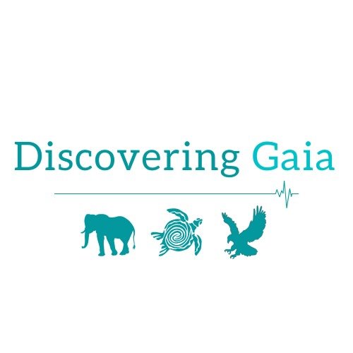 Discovering Gaia 🌍