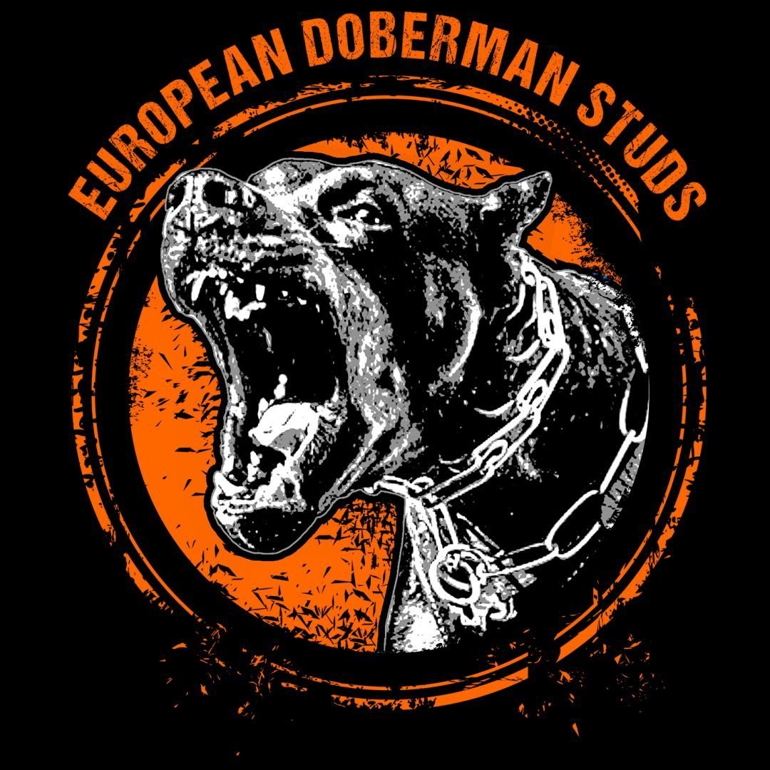 European Doberman Stud