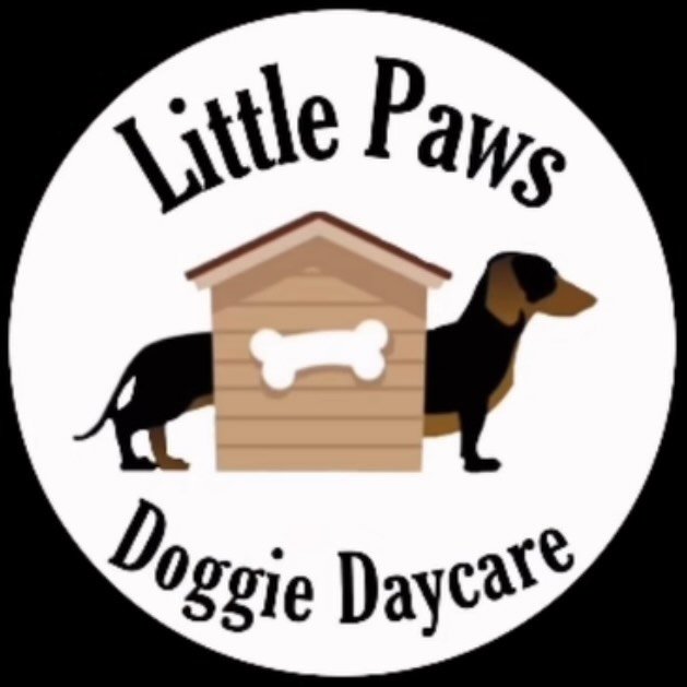 Little Paws || Dachshund Daycare