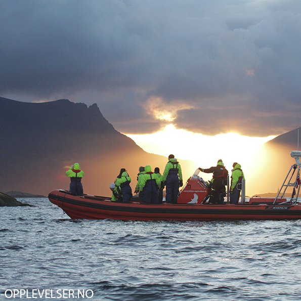 Lofoten Opplevelser