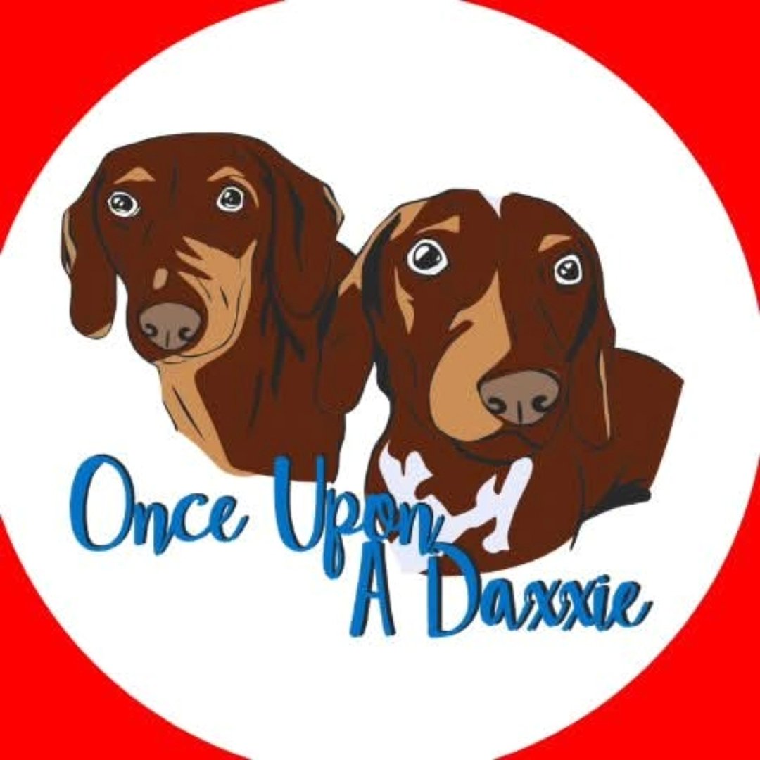 🐾 Once Upon A Daxxie 🐾 Pet Accessories And More