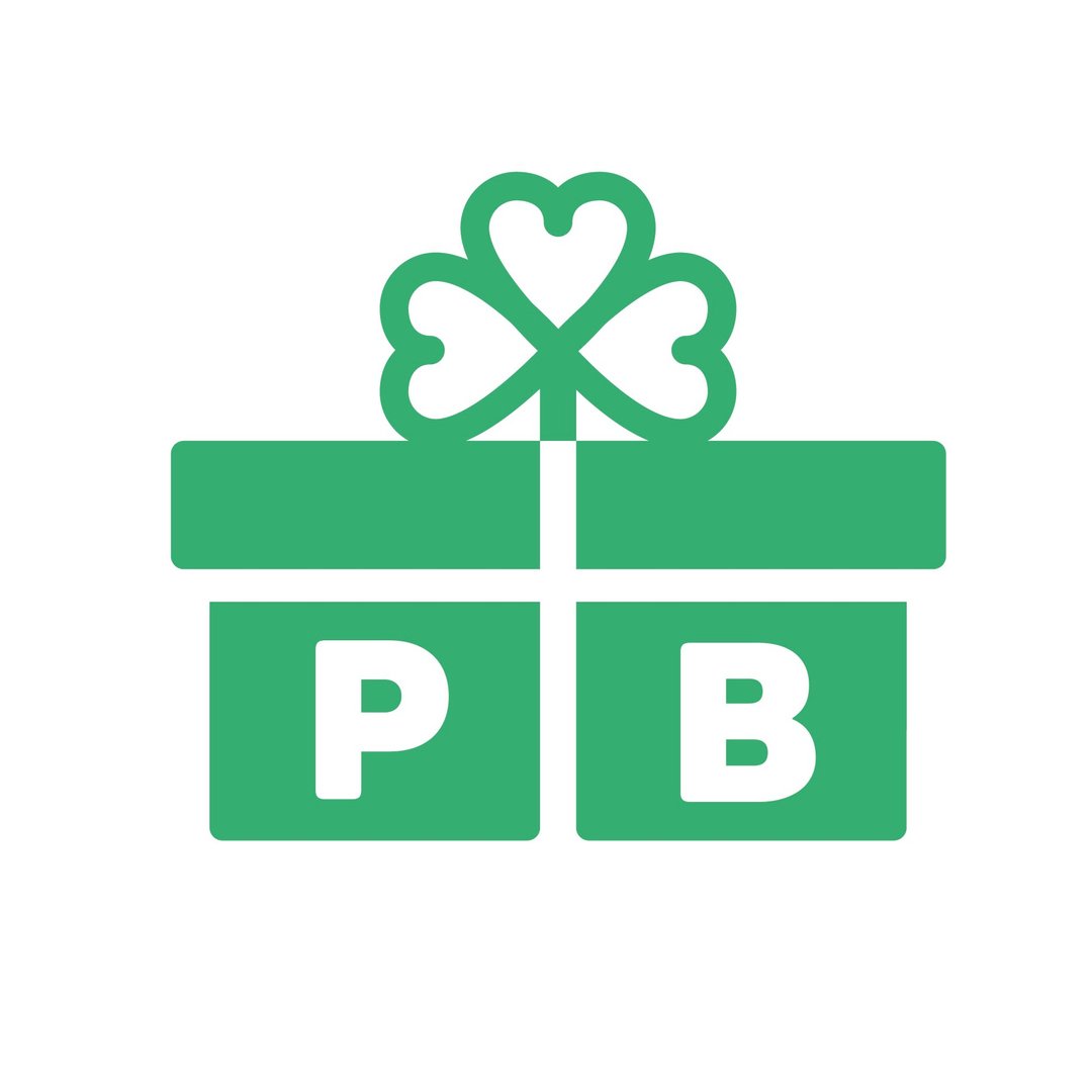 The Paddy Box 💚📦✈️