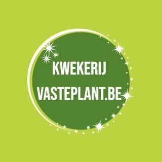 Vasteplant.be - Kwekerij Spruyt
