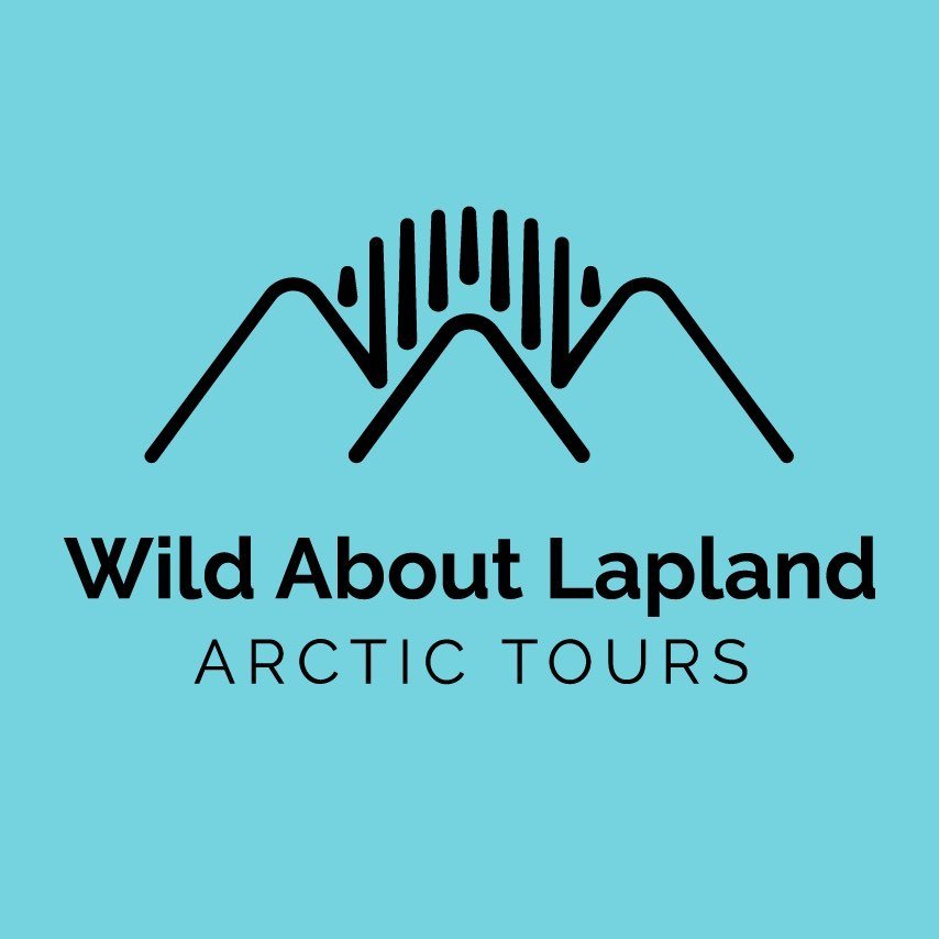 Wild About Lapland