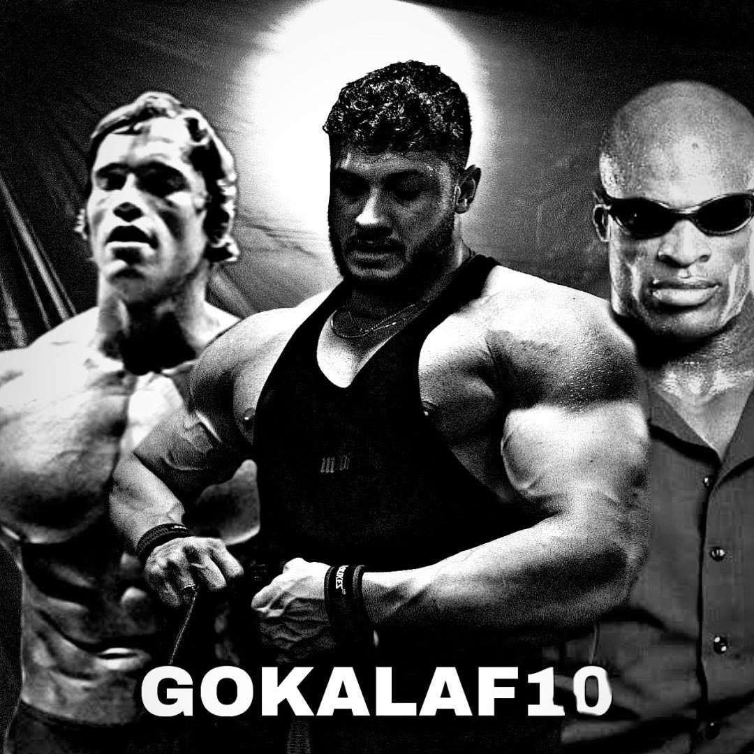 Gokalaf10
