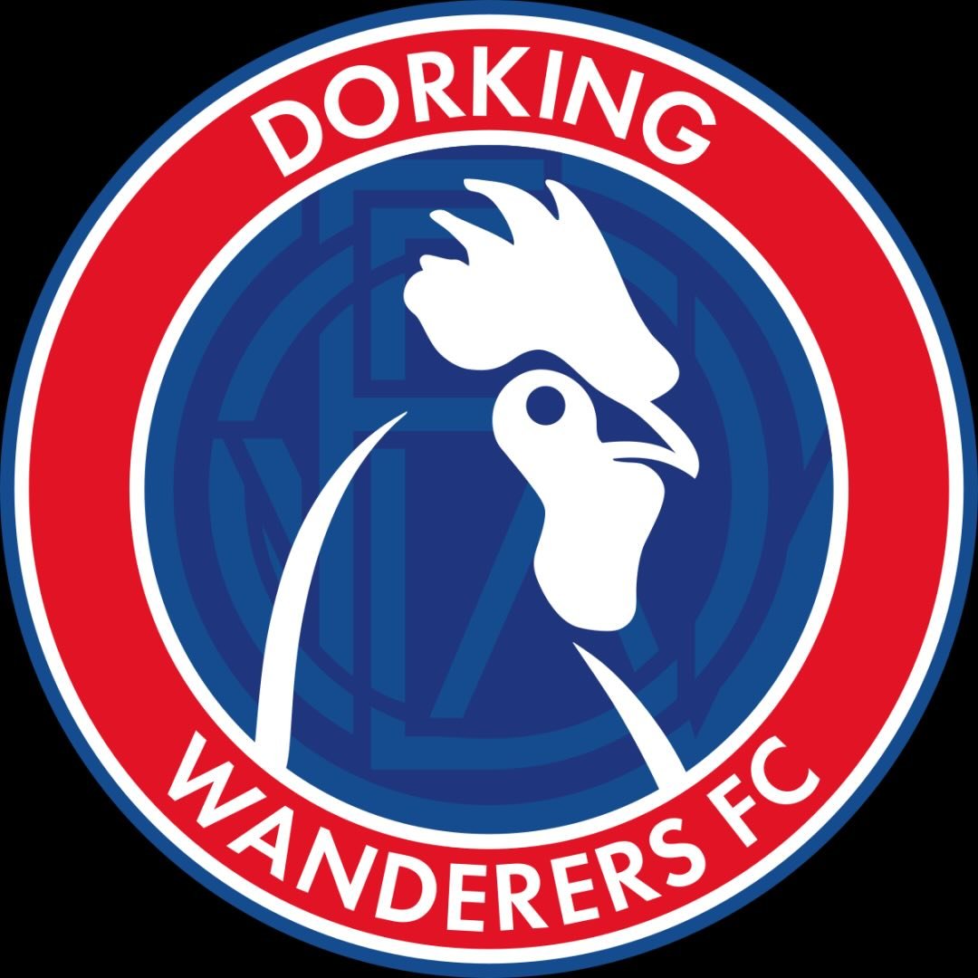 Dorking Wanderers Fc