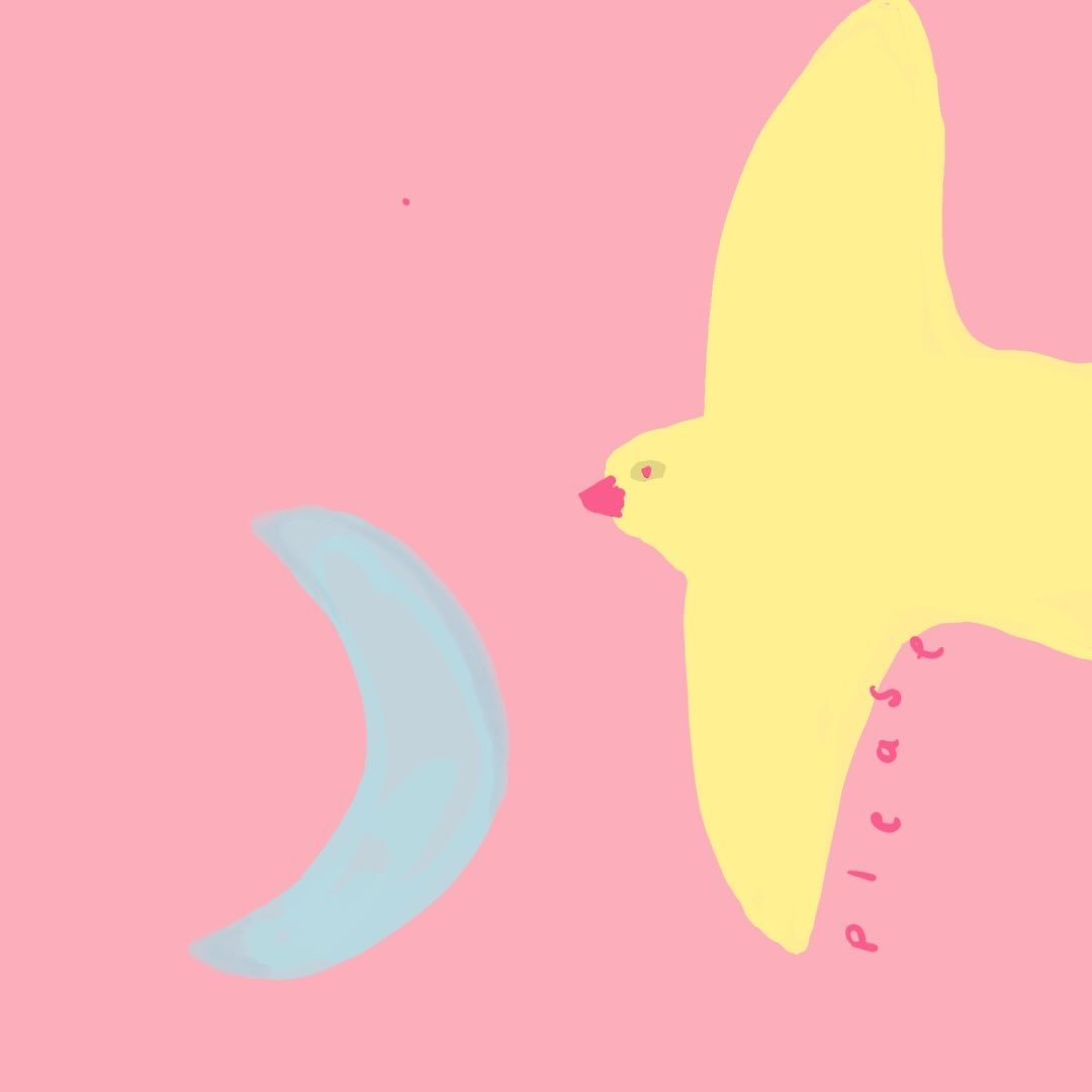 Pigeon Said Please / Clothing Kids Love.