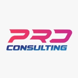 Pro Consulting