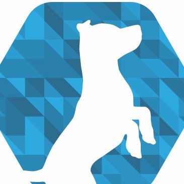 Booboo Pet Grooming Services
