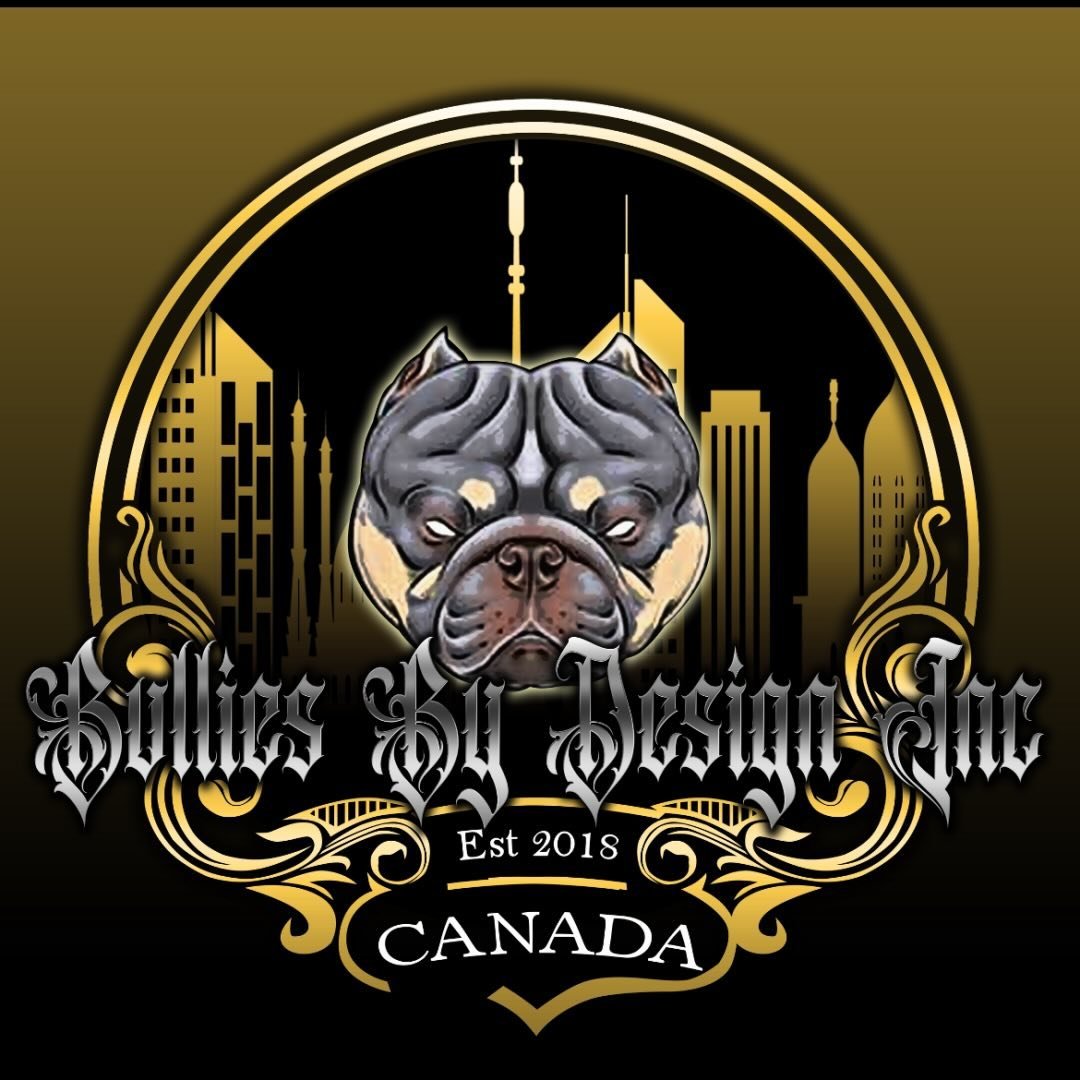 Bullies By Design Inc