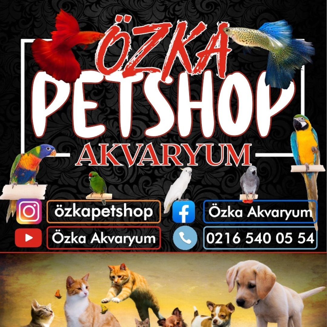Özka Petshop