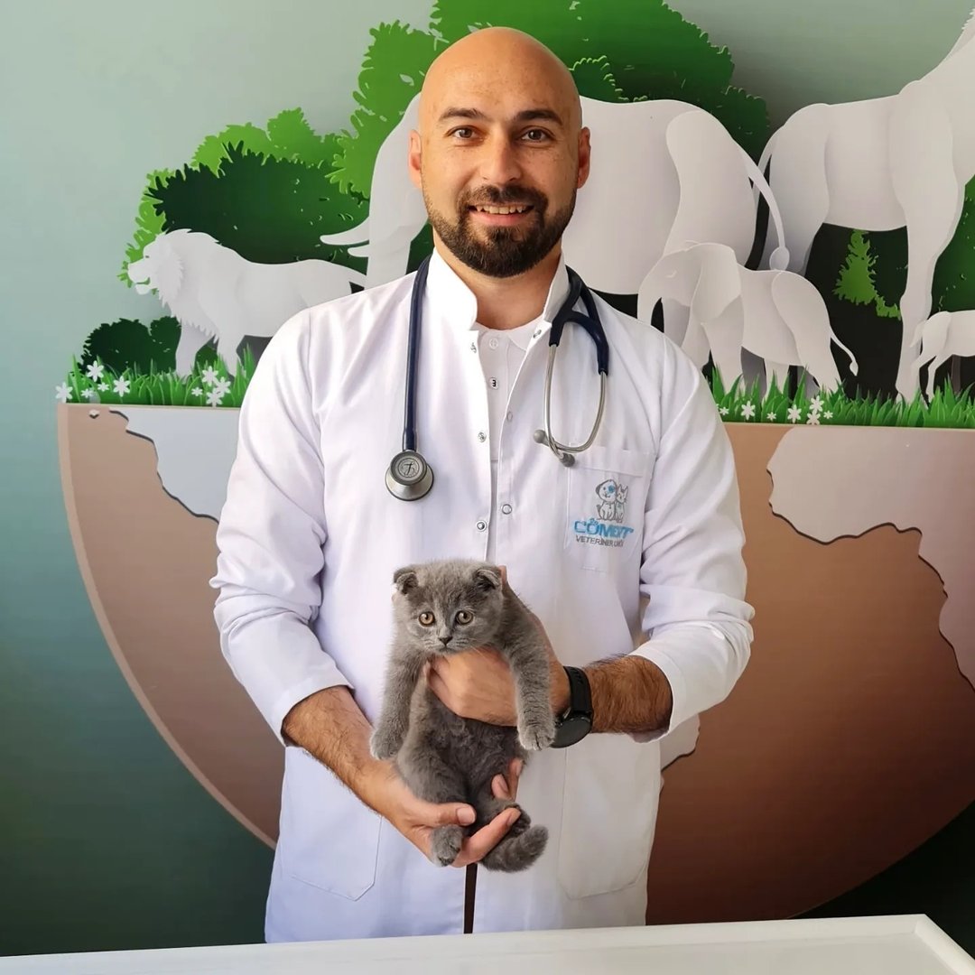 Onur Güvenin