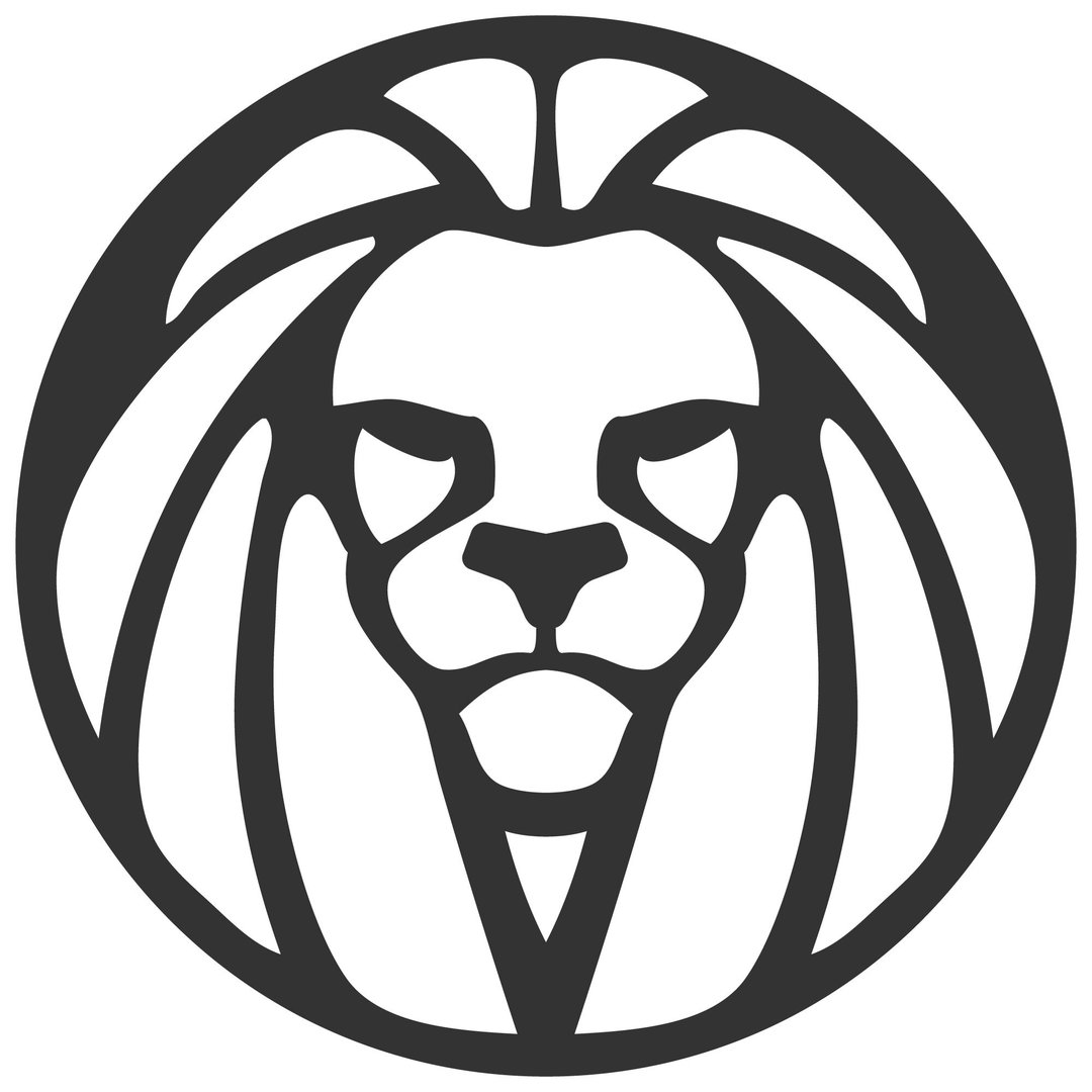 Lucleon