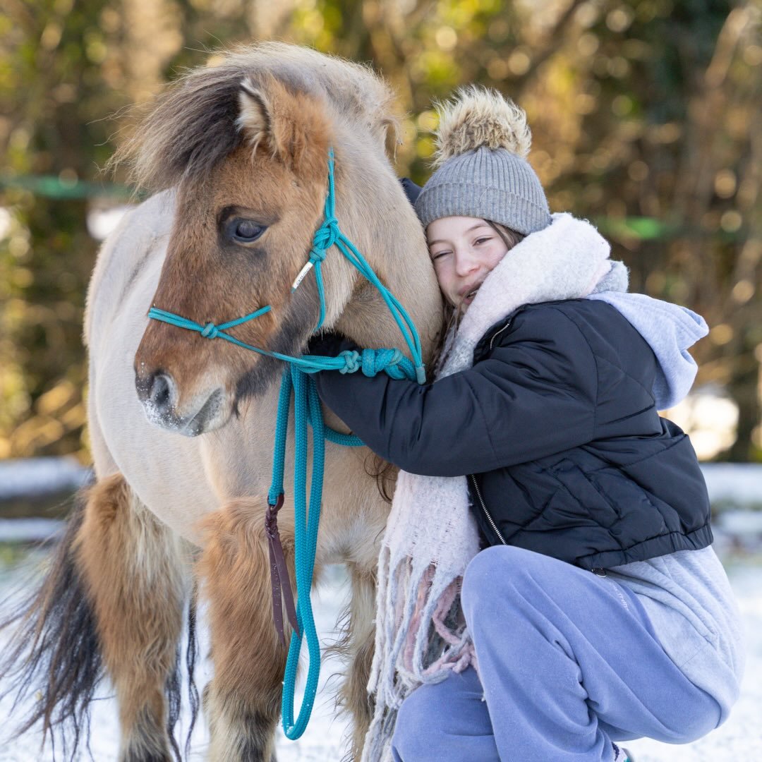 Thea_equestrian