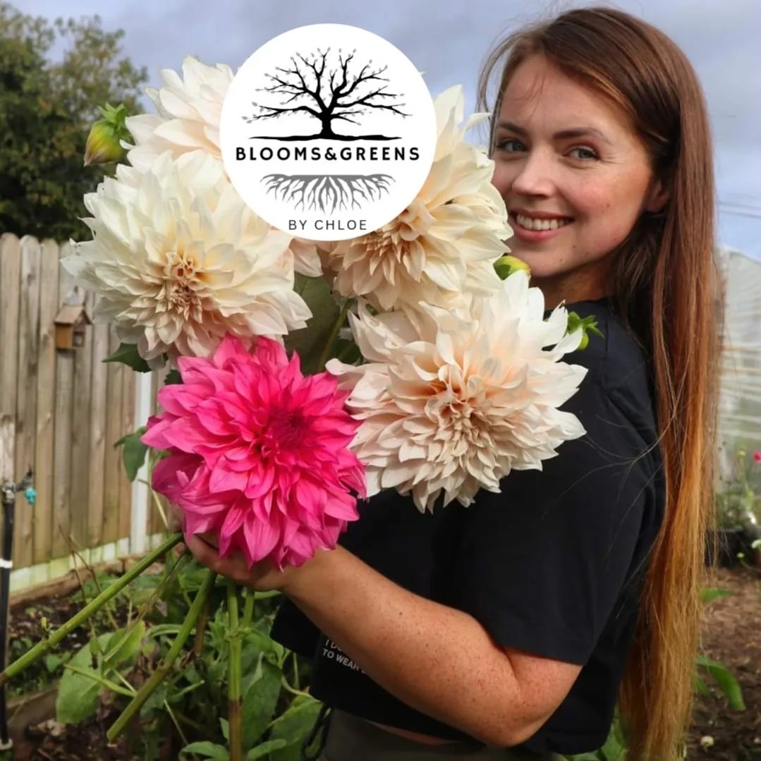Blooms&greens By Chloe