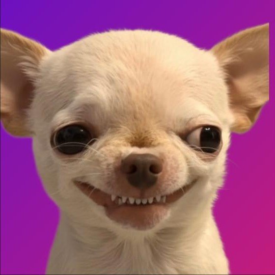 Official Evil Dog