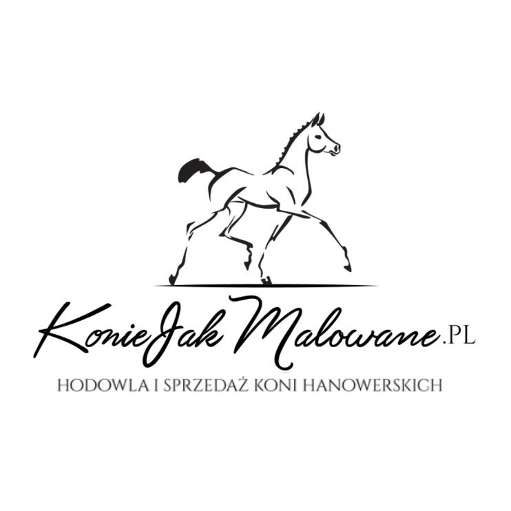 konie jak malowane