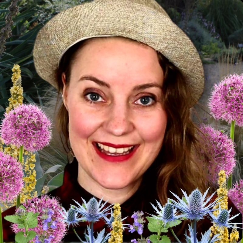 Iris Landschaften