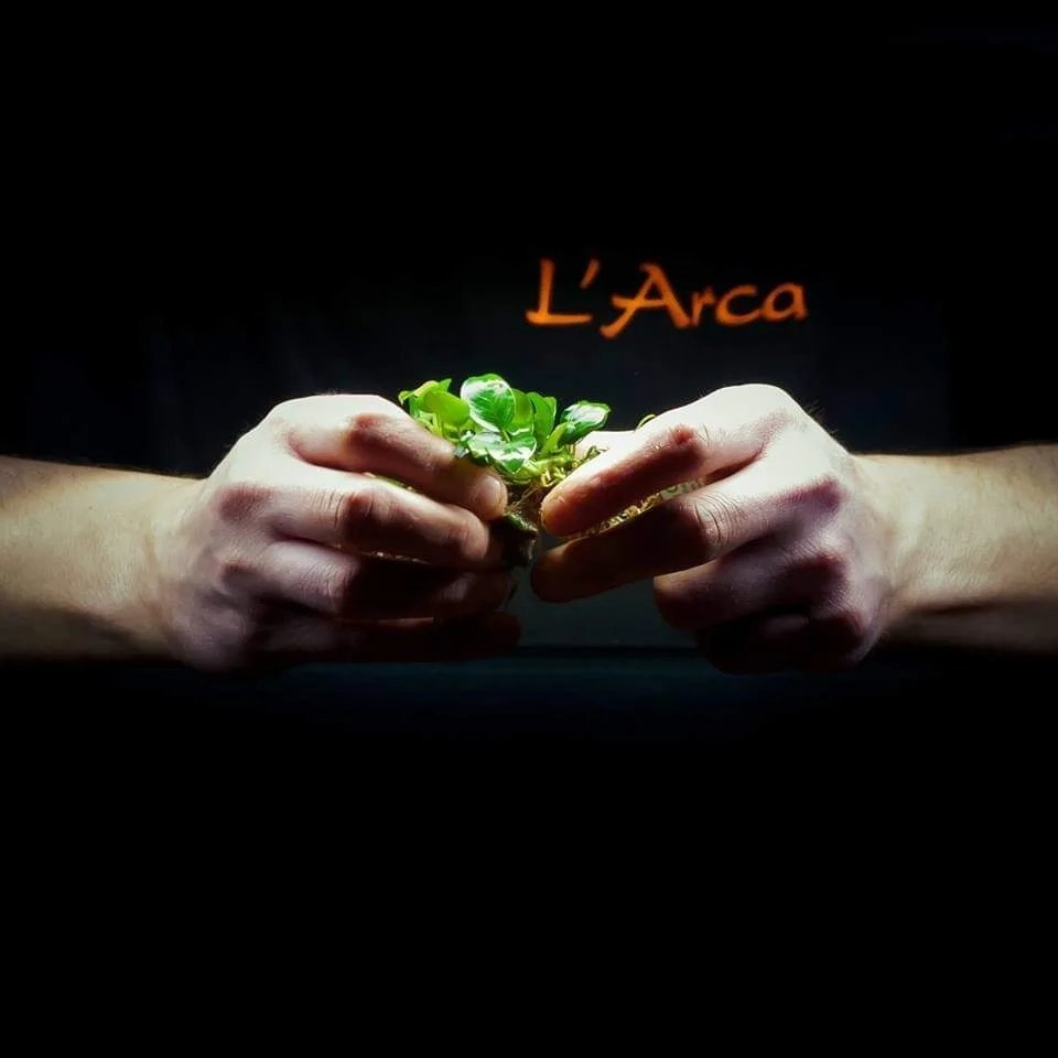 L' Arca Di Zin Fabio