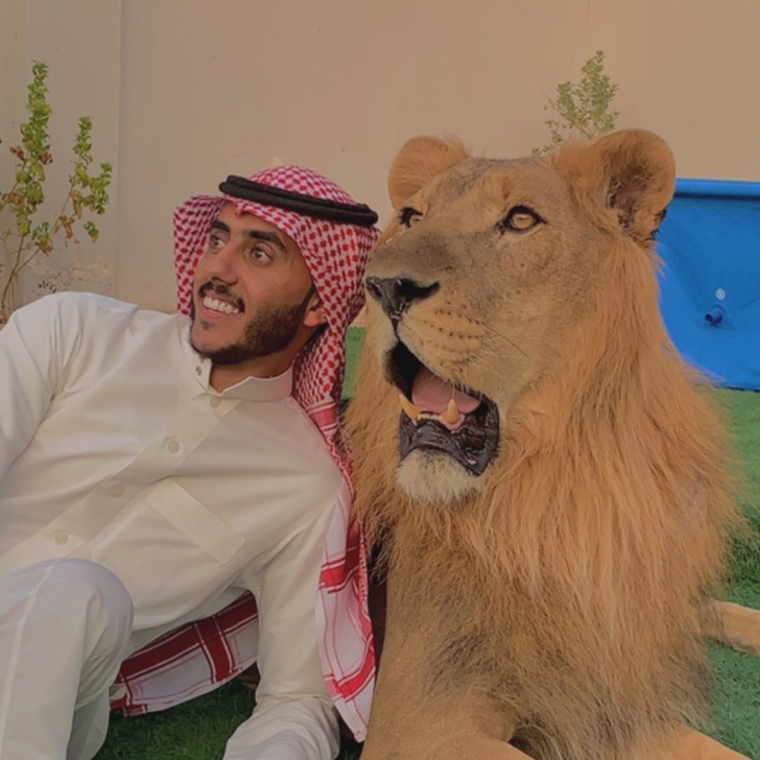أسامة الدغيري