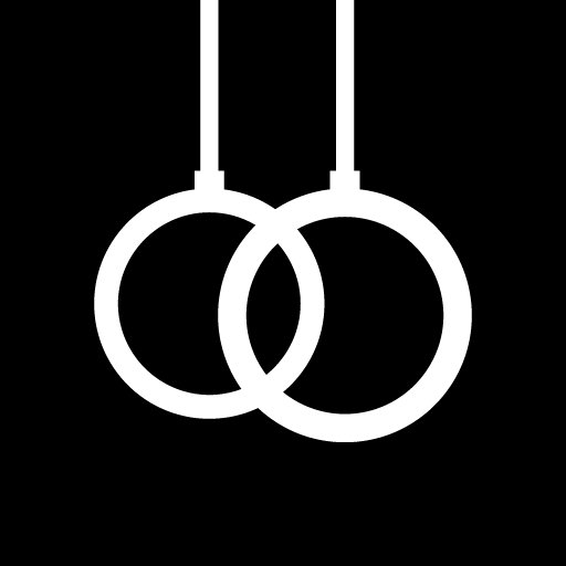 DIE RINGE