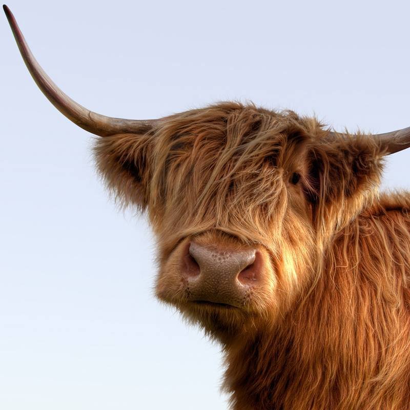 VisitScotland | Travel & Inspiration