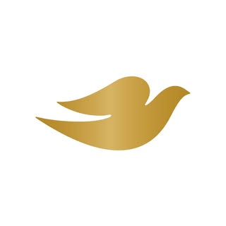 Dove Global Channel 🌎