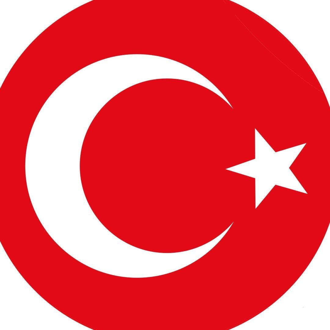 EMilli Takımlar