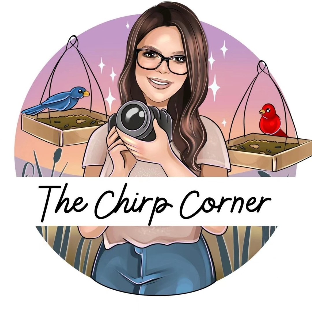 Thechirpcorner