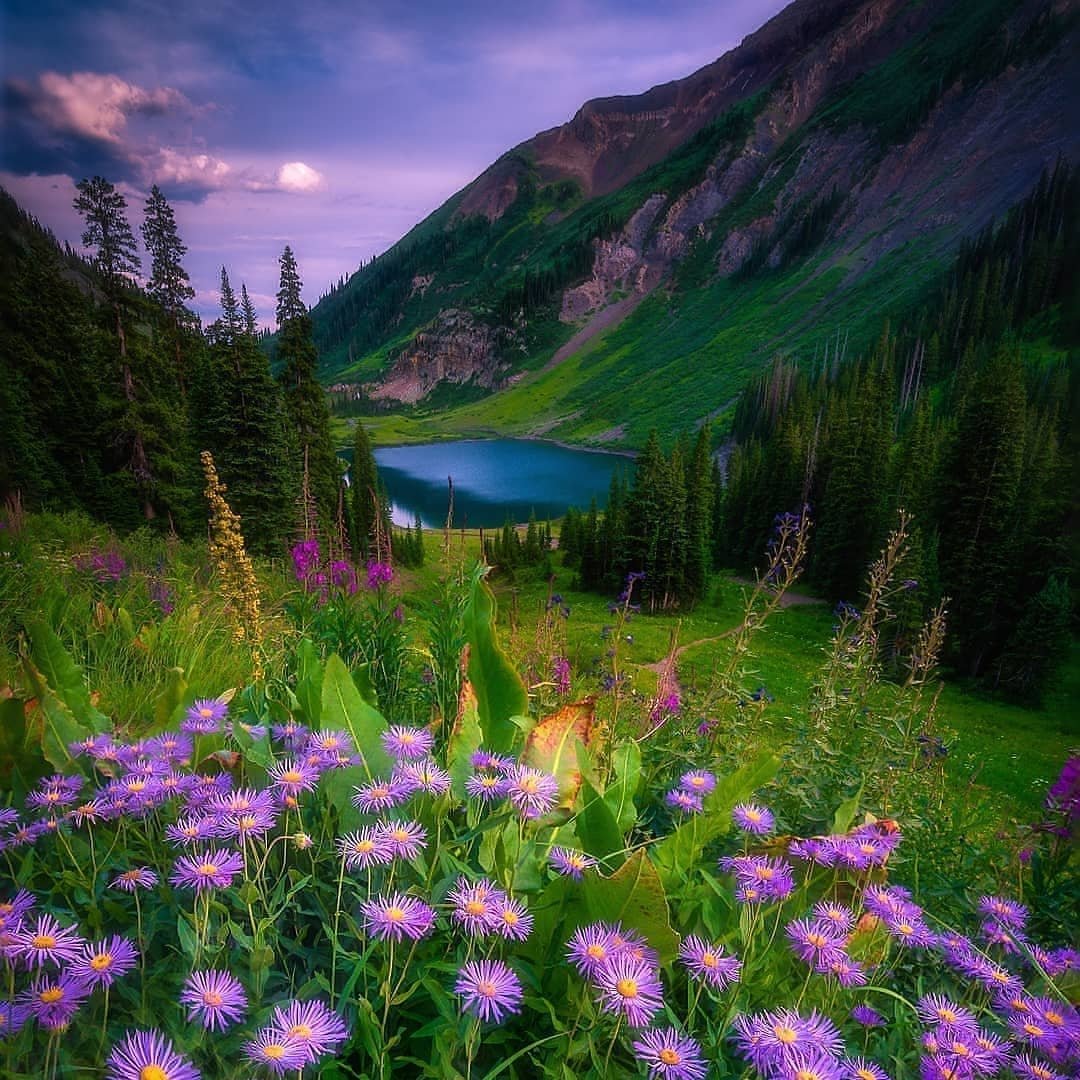 Earthbestpicture
