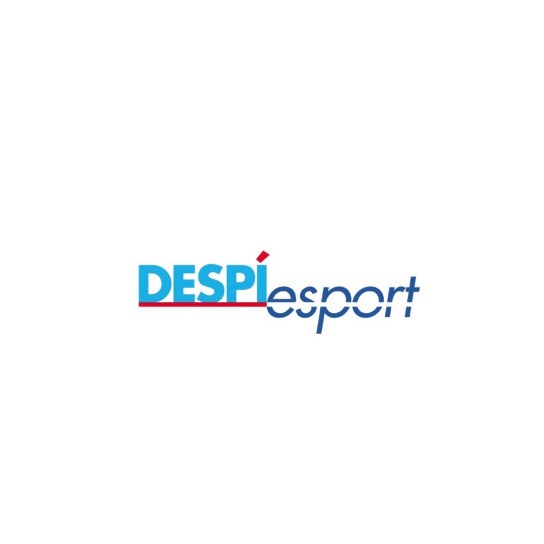 Despí Esport