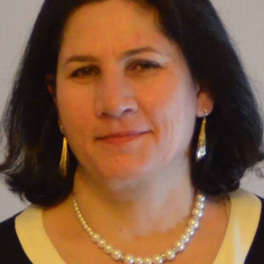 Farzaneh Roostaee