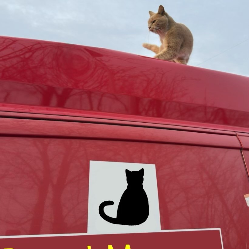postmans_cats