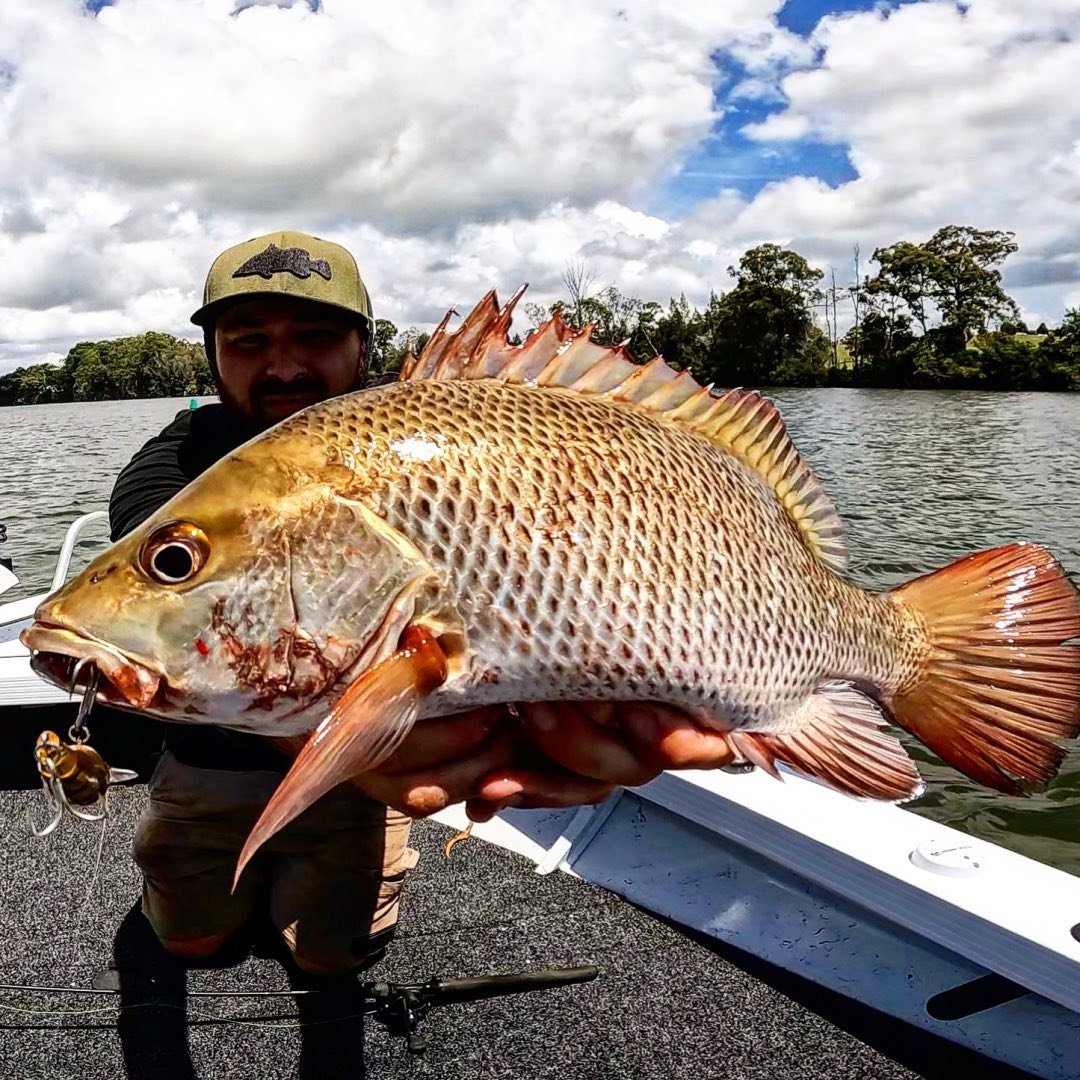 The Fishing Cartel