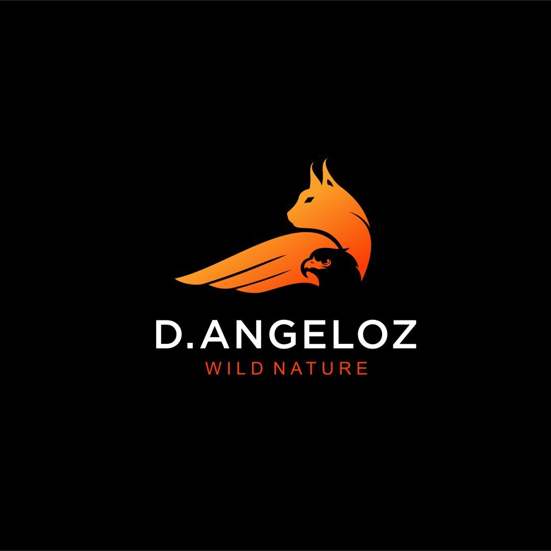 David Angéloz