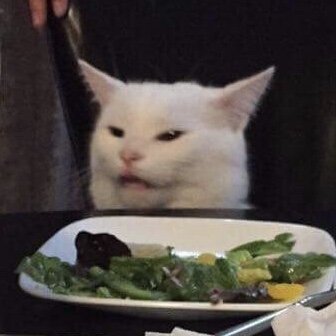 Smudge - Table Cat