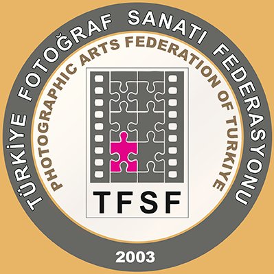 TFSF