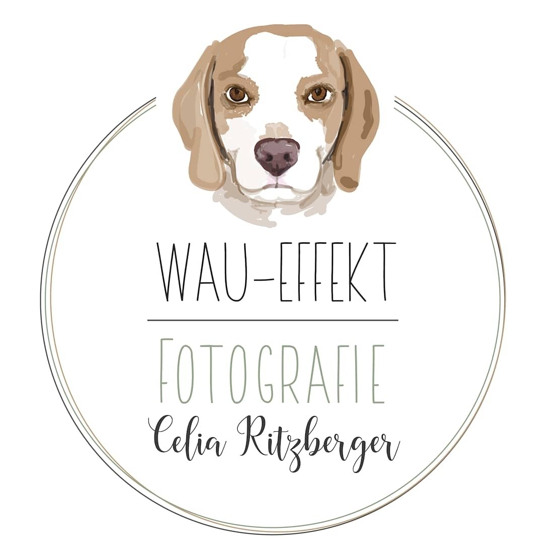 Fotografie Celia Ritzberger