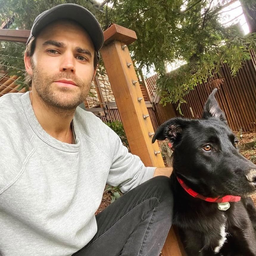 Paul Wesley