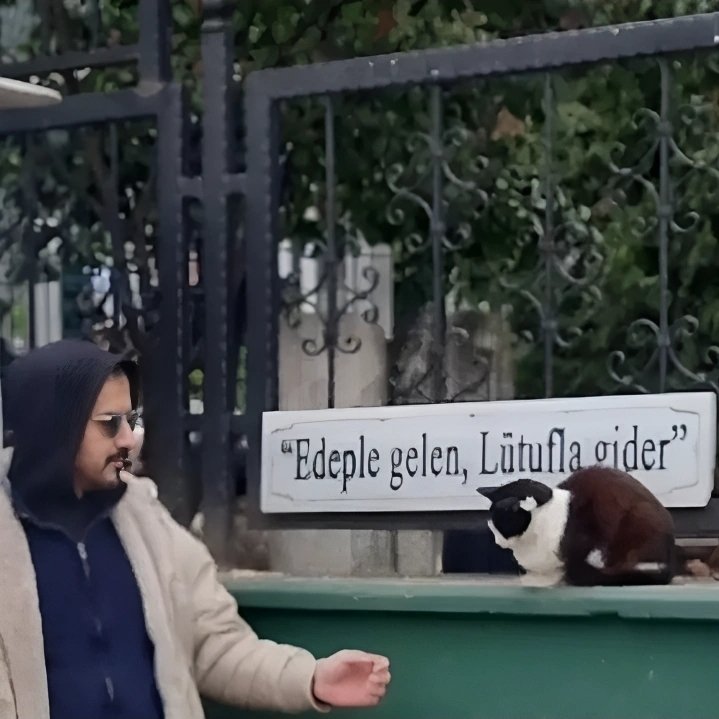 rıdvan armut pear