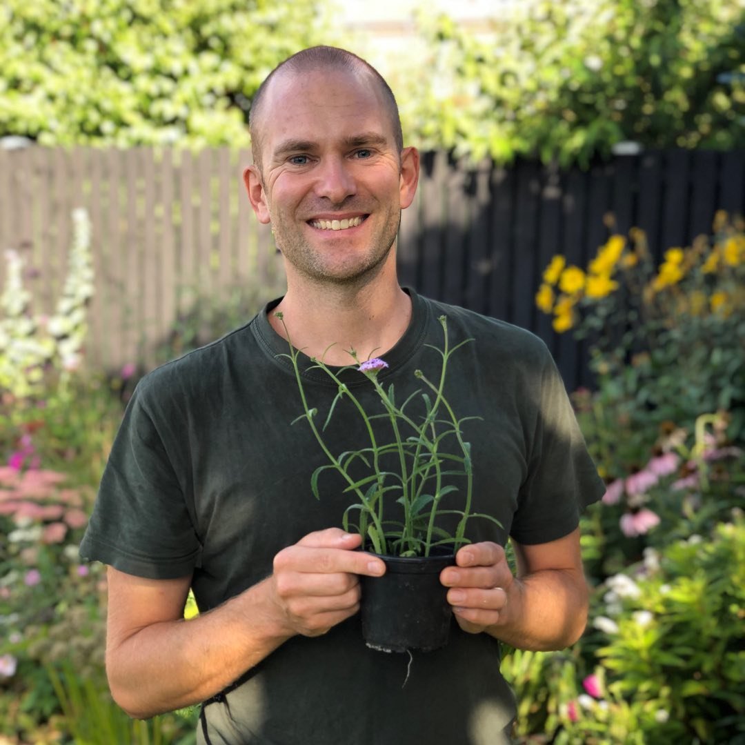 The Perennial Garden | Staudehaven